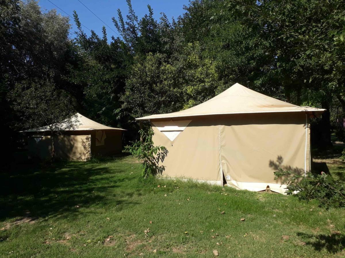 Camping Paradis Bellerive Montfrin Exterior foto